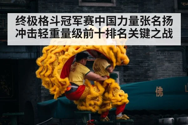 Chinese martial arts